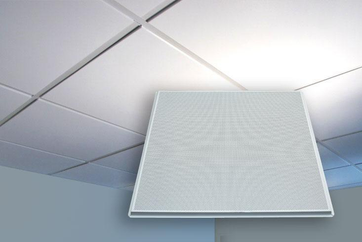 Lay-in Asma Tavan